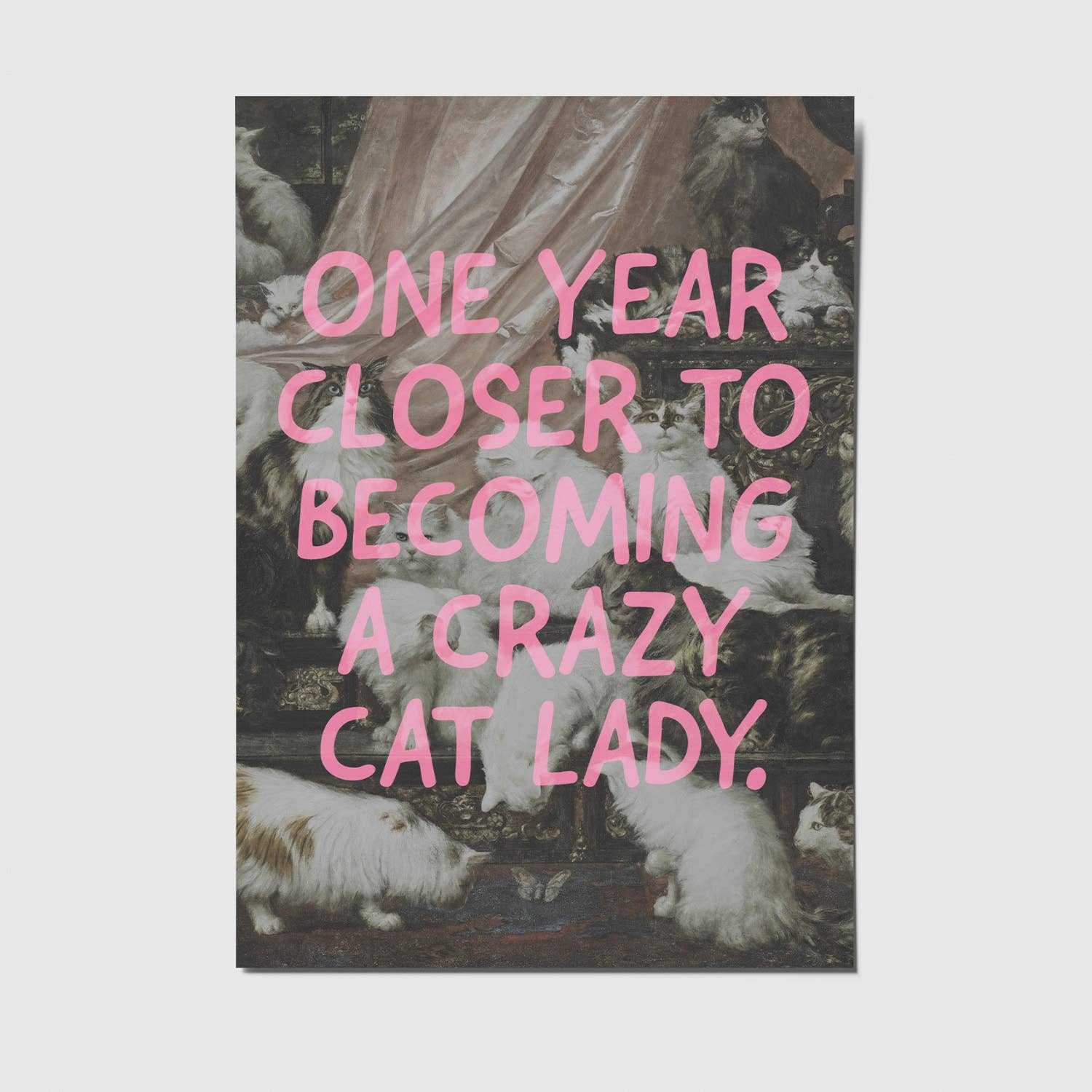Ansichtkaart | One Year Closer To Becoming A Crazy Cat Lady