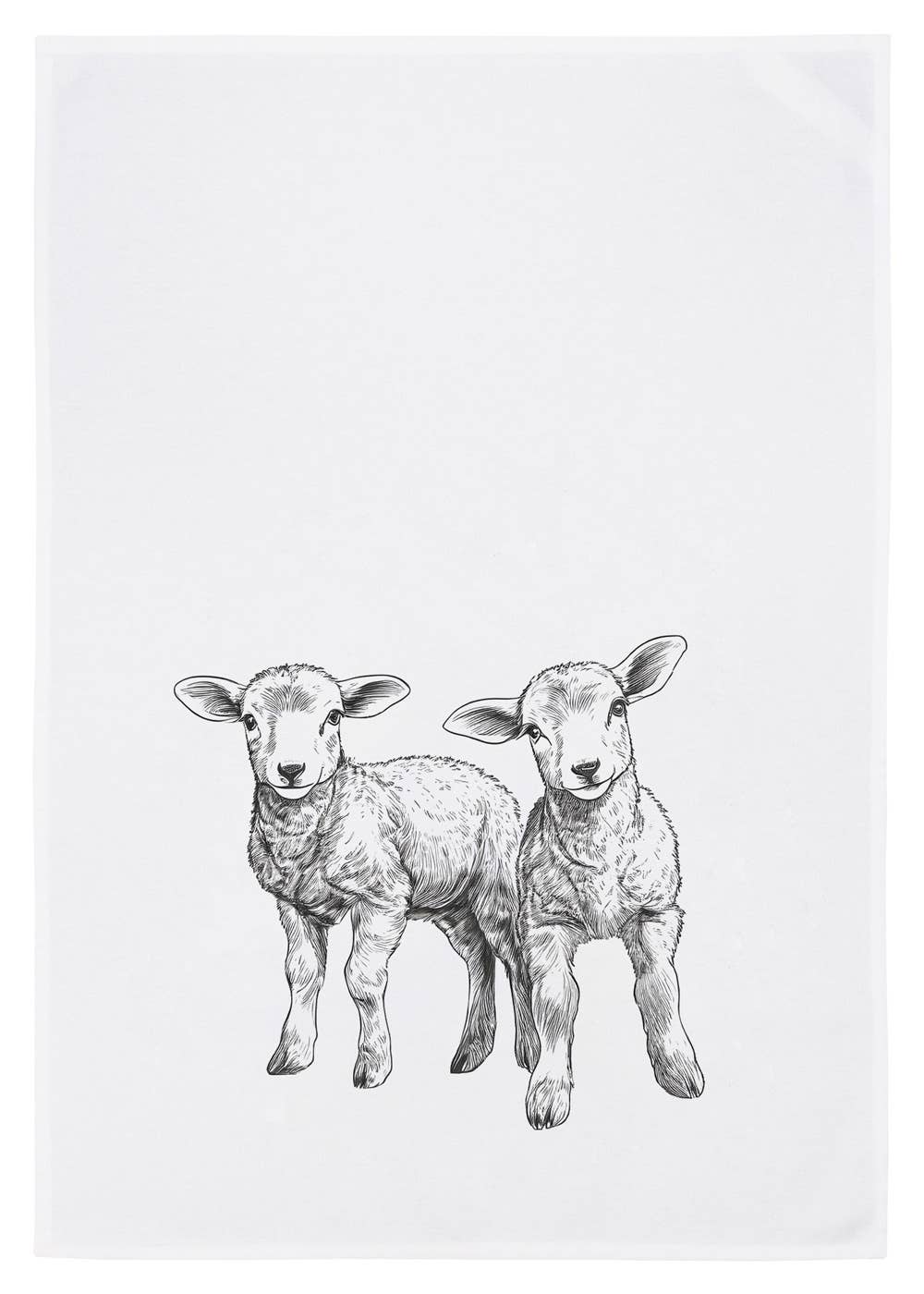 Theedoek | Lammetjes