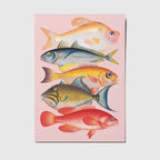 Roze kaart met 5 kleurrijke grafische vissen.