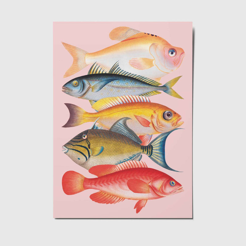 Ansichtkaart | Kleurrijke Vis